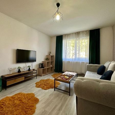 Londof Apartments- New Center 布拉索夫 外观 照片